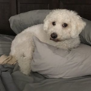 Meet your Posher, Janice